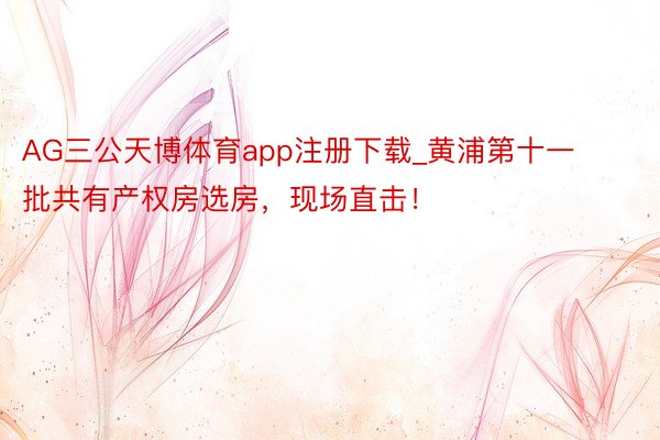AG三公天博体育app注册下载_黄浦第十一批共有产权房选房，现场直击！