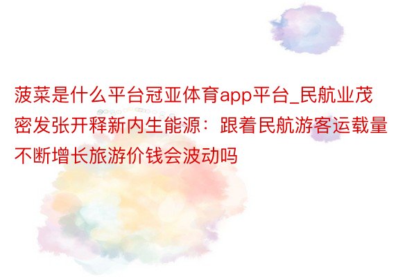 菠菜是什么平台冠亚体育app平台_民航业茂密发张开释新内生能源：跟着民航游客运载量不断增长旅游价钱会波动吗