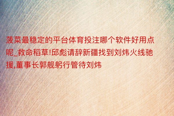 菠菜最稳定的平台体育投注哪个软件好用点呢_救命稻草!邱彪请辞新疆找到刘炜火线驰援,董事长郭舰躬行管待刘炜