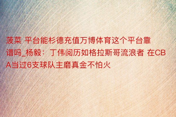 菠菜 平台能杉德充值万博体育这个平台靠谱吗_杨毅：丁伟阅历如格拉斯哥流浪者 在CBA当过6支球队主磨真金不怕火